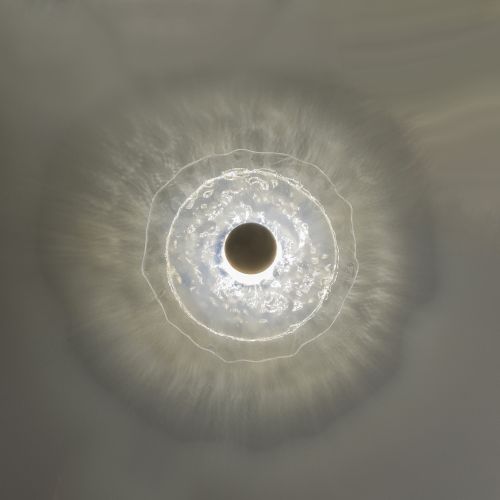 Nebula Wall Sconce medium