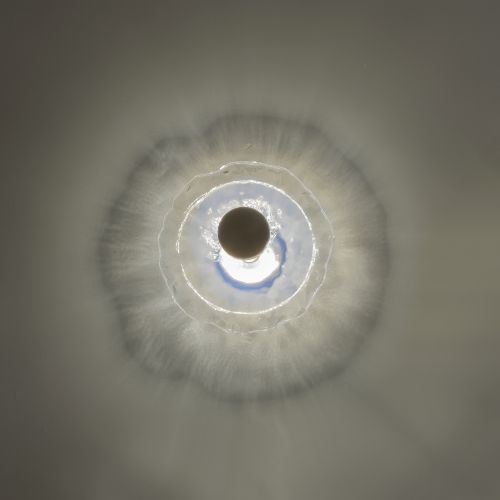 Nebula Wall Sconce small