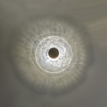 Patrizia Volpato Nebula medium Wall Sconce