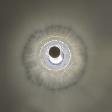 Patrizia Volpato Nebula small Wall Sconce